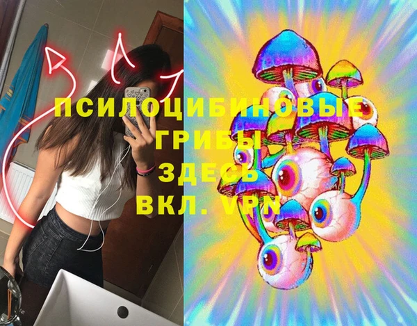 крисы Алексин