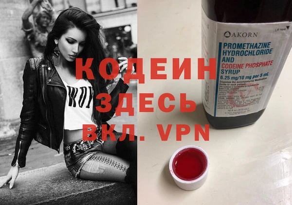 прущий лед Алзамай