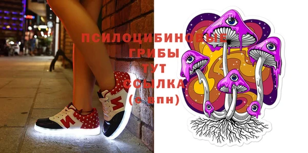 крисы Алексин