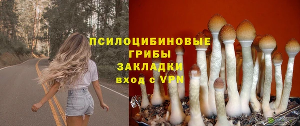 прущие грибы Нязепетровск