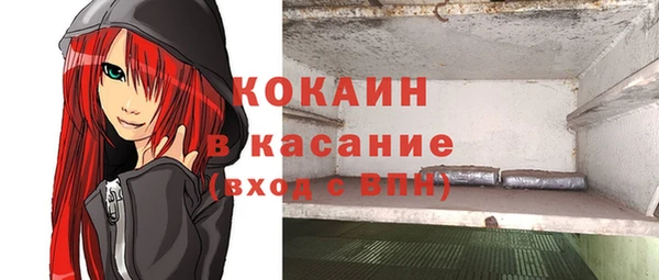 прущий лед Алзамай