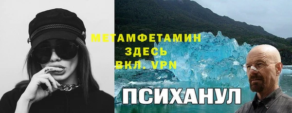 крисы Алексин