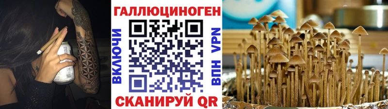 Галлюциногенные грибы Cubensis  Невьянск 
